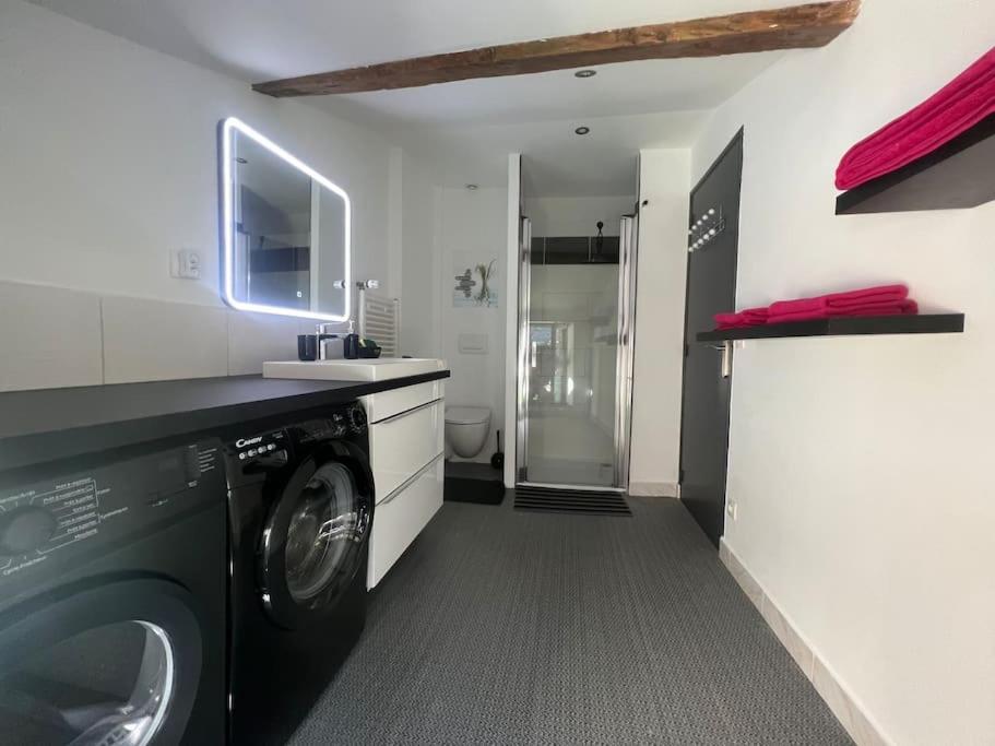 La P'Tite Maison Et Votre Terrasse Prive ! Joinville Eksteriør billede